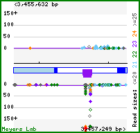 Gene map