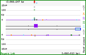 Gene map