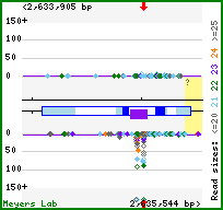 Gene map