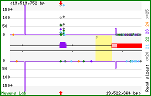 Gene map