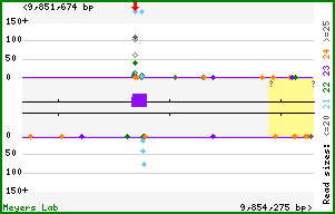Gene map