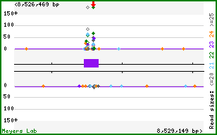 Gene map