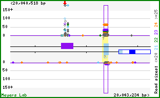 Gene map
