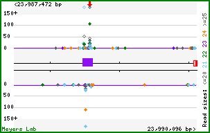 Gene map