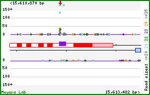Gene map