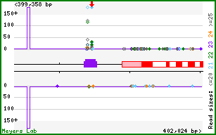 Gene map