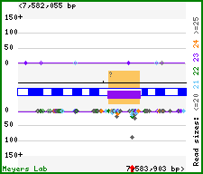 Gene map