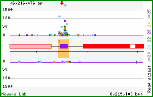 Gene map