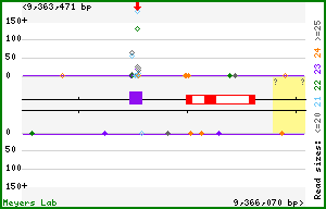 Gene map