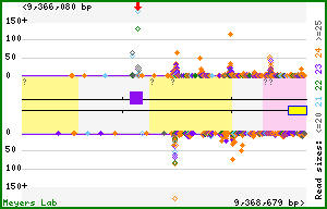 Gene map