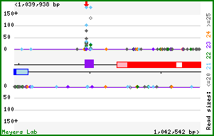 Gene map