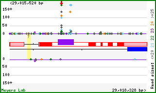 Gene map