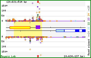 Gene map