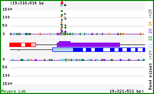 Gene map
