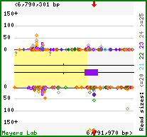 Gene map