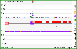 Gene map