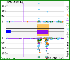 Gene map