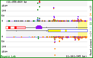 Gene map