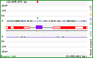 Gene map