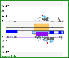Phasing analysis map