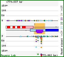 Gene map