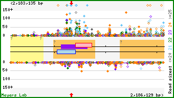 Gene map