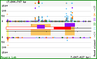 Gene map