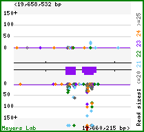 Gene map