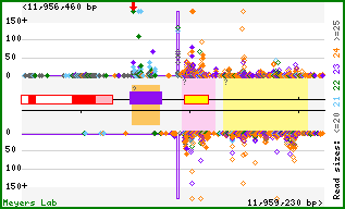Gene map
