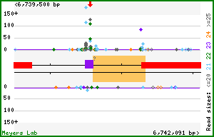 Gene map