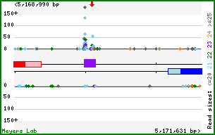 Gene map